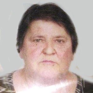 Šahza Fejzić