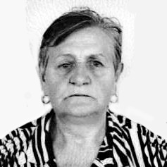 Ševka Karšić