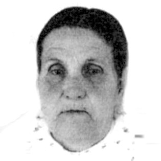 Tema Šahbaz