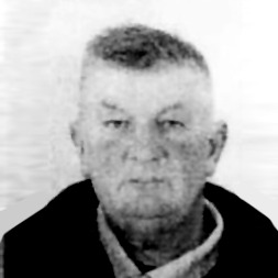 Zvonko Domazet