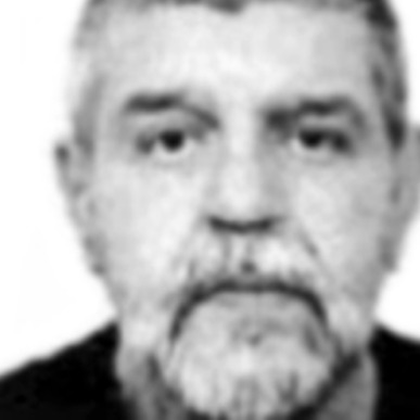 Mladen Raste