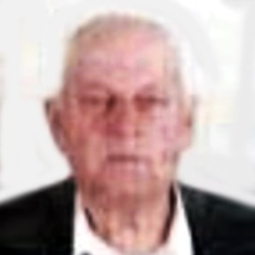 Hasib Salkić