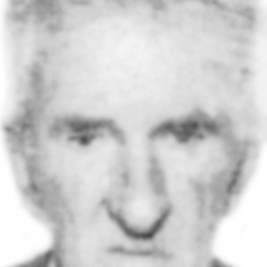Bogić Ivezić