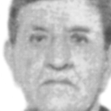 Jovanka Mikić