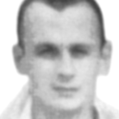 Bojan Gvozdenović