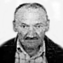 Dinko Bagarić