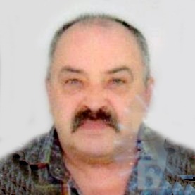 Faik Hadžihalilović