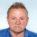 Vlajko Kresić
