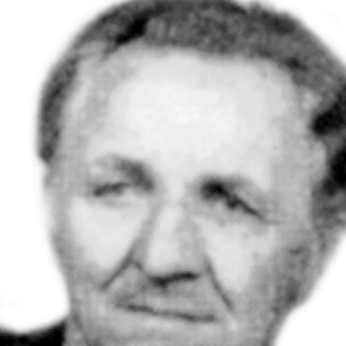 Labud Raičević
