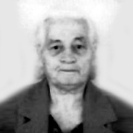 Darinka Šešlija
