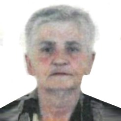 Lezeta Lemo