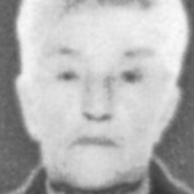 Darinka Popović
