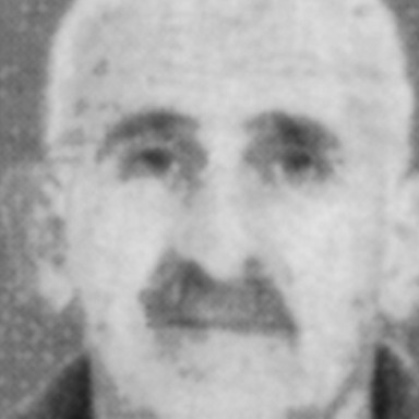 Nikola Žarković