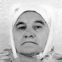 Devlija Šehović