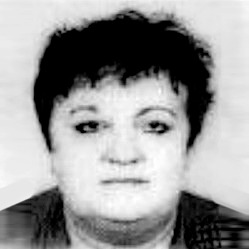Zemka Čizmić