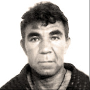 Damir Kelava