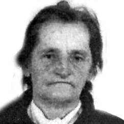 Delfa Pervan