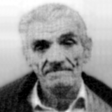 Jovo Rosić