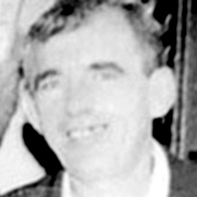 Milan Nikolić