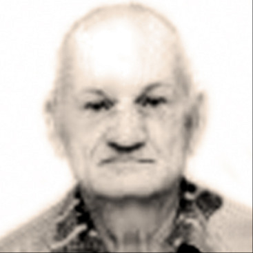 Nedeljko Jozić