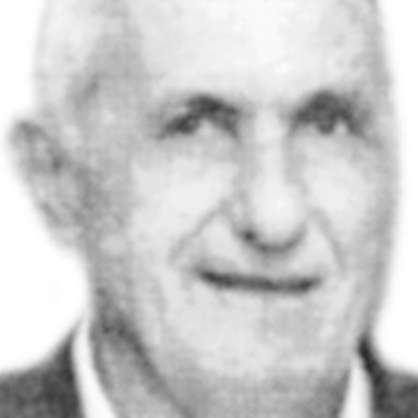 Sekule Terzić
