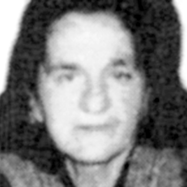 Branka Banović