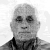 Šefik Ibričević