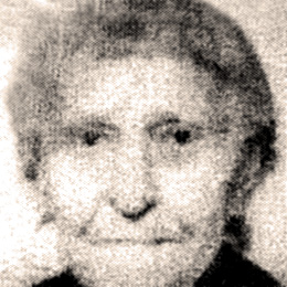 Iva Bakula