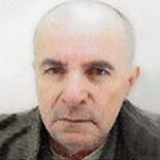 Vlado Anić