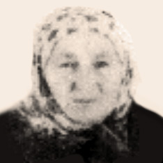 Alije Murić