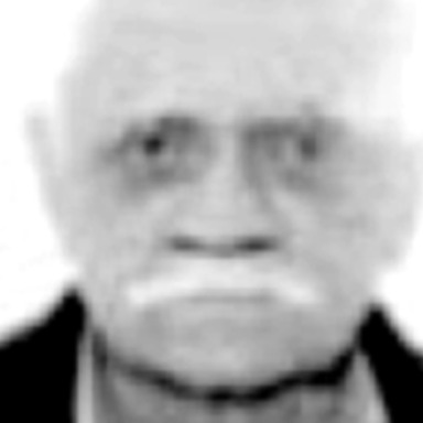 Milenko Mirica