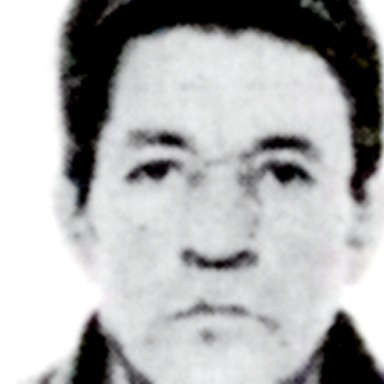 Radoica Obradović