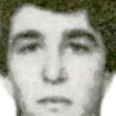 Milenko Nikolić