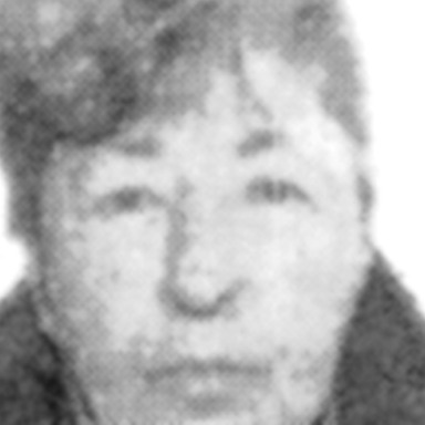 Desa Garić