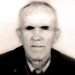 Mato Jelonjić