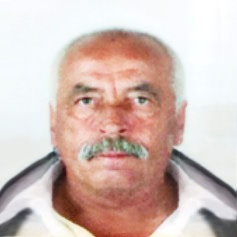 Hasib Mahmutović