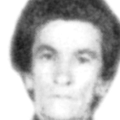 Stoja Jakić