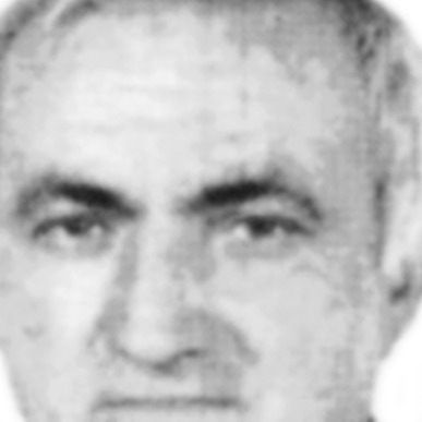Vido Berilaža