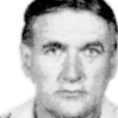 Dragoljub Radulović