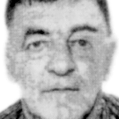 Miloš Negovanović