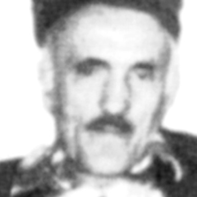 Radomir Lučić