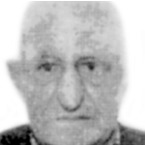 Branko Popović