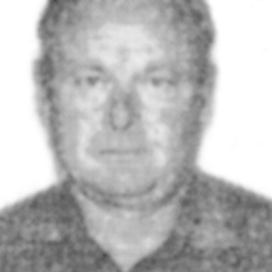 Milivoje Radović
