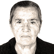 Desanka Ajduk