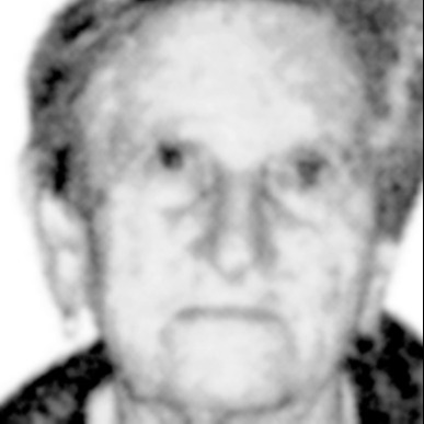 Ljubica Davidović