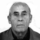 Ragib Čalija