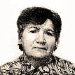 Vilma Golub