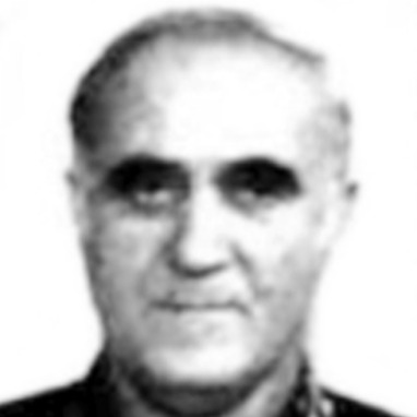 Budimir Radić