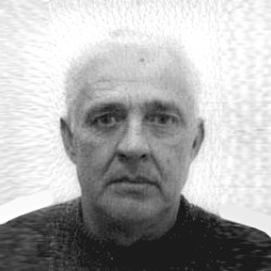 Velimir Dujlović