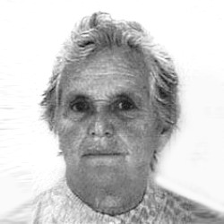 Stana Vukajlović